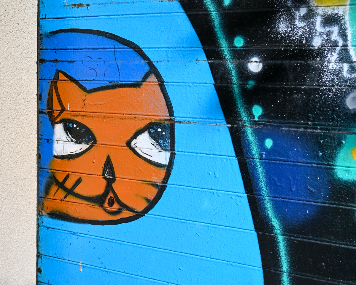 A close-up of a graffiti-covered metal shutter door, featuring a stylized orange cat face inside a blue space ship.