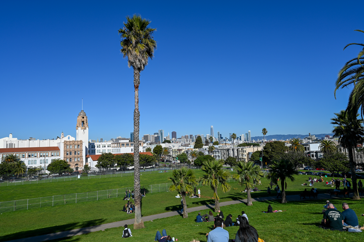 A sunny outdoor Dolroes park scene with a large green lawn, several palm trees, and groups of people sitting and walking. In the background is SF skyline under a clear blue sky.
