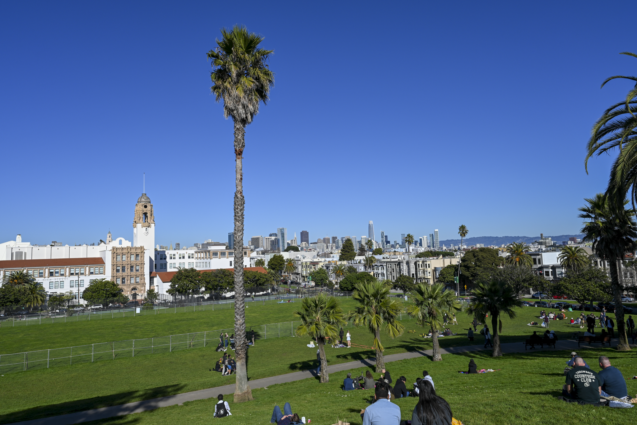 A sunny outdoor Dolroes park scene with a large green lawn, several palm trees, and groups of people sitting and walking. In the background is SF skyline under a clear blue sky.