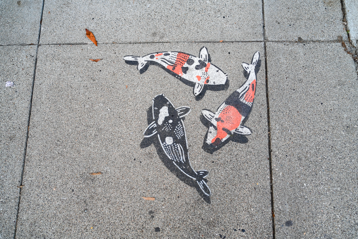 Three koi fish painted on side walk with black, white, and orange patterns arranged on a gray concrete sidewalk.