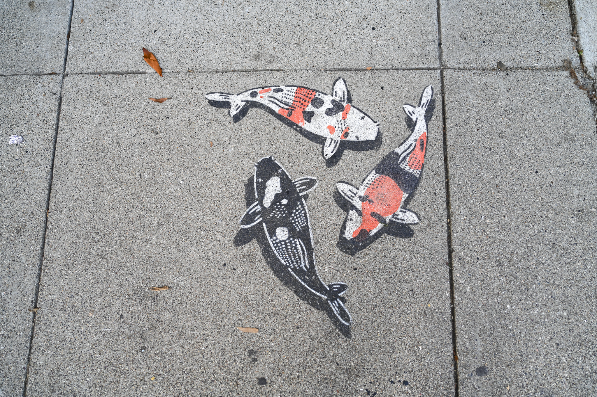 Three koi fish painted on side walk with black, white, and orange patterns arranged on a gray concrete sidewalk.