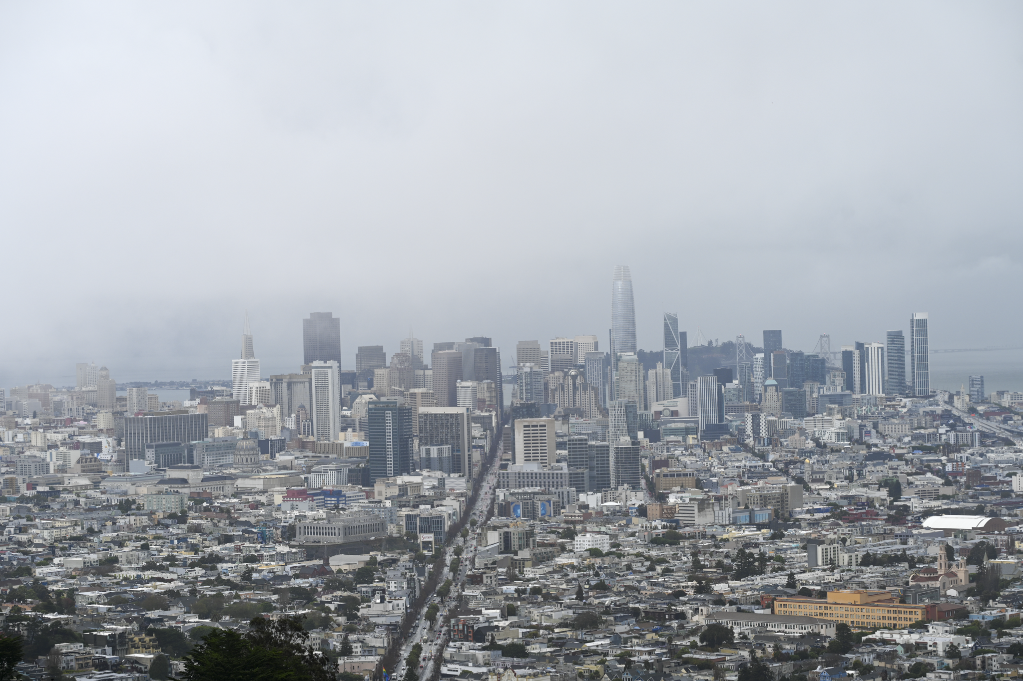 A low-angle panoramic view of the San Francisco skyline, including the Transamerica Tower, partially obscured by heavy fog and low clouds.