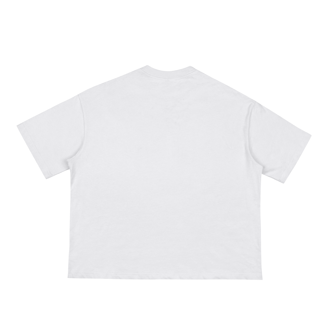 Fog & Form SF fashion brands heavyweight white boxy T-shirt back view.
